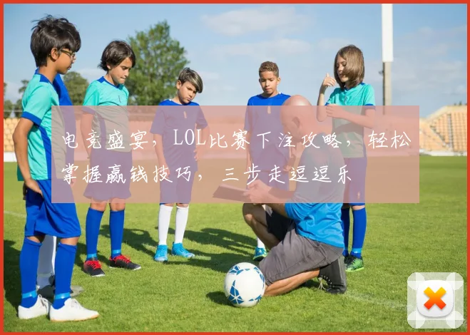 电竞盛宴，LOL比赛下注攻略，轻松掌握赢钱技巧，三步走逗逗乐