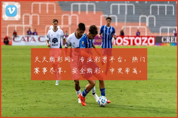 天天购彩网，专业彩票平台，热门赛事尽享，安全购彩，中奖率高，三重惊喜，不容错过